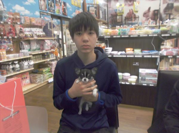 写真