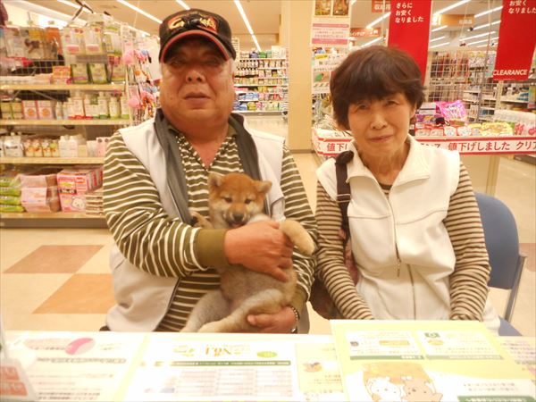 写真