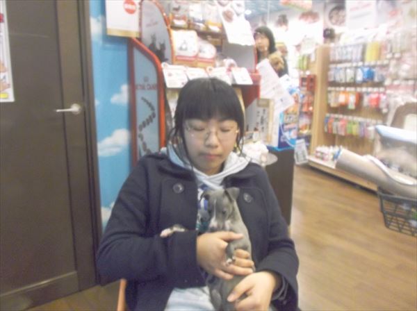 写真