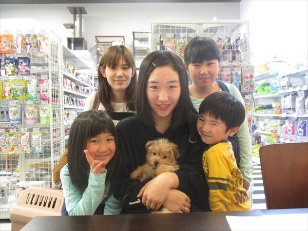 写真