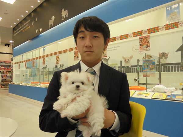 写真