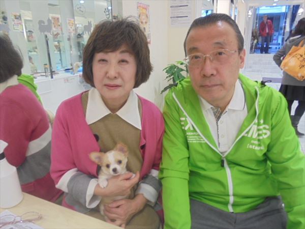写真