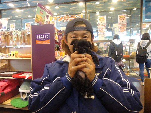 写真