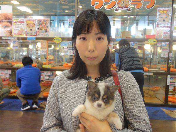 写真