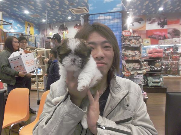 写真