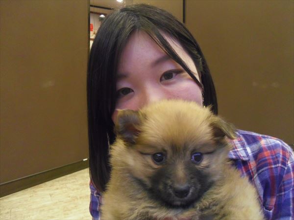 写真