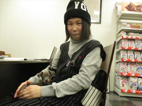 写真