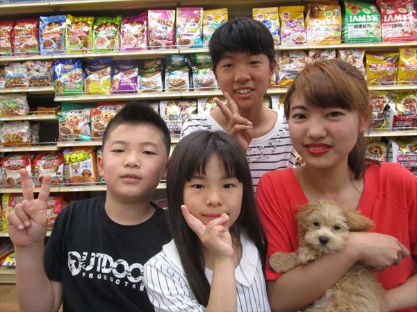 写真