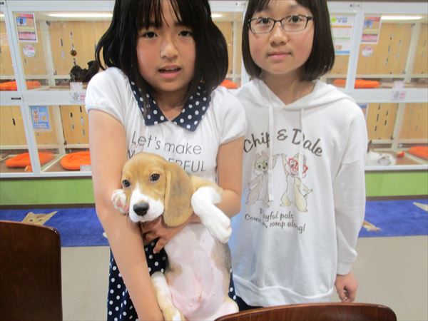 写真