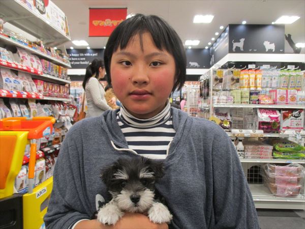写真