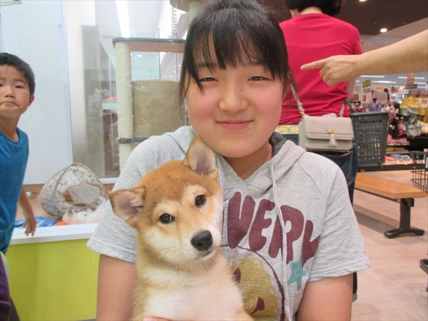 写真