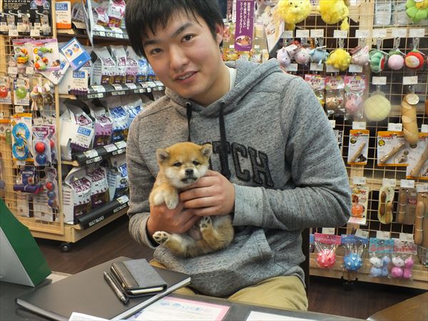 写真