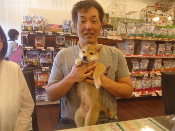 写真