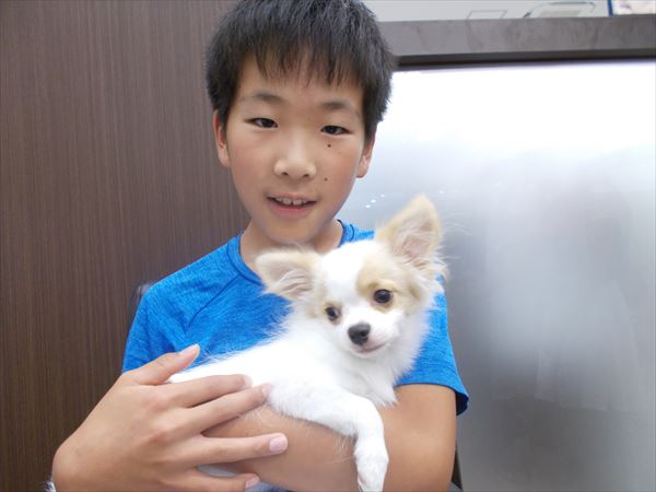 写真