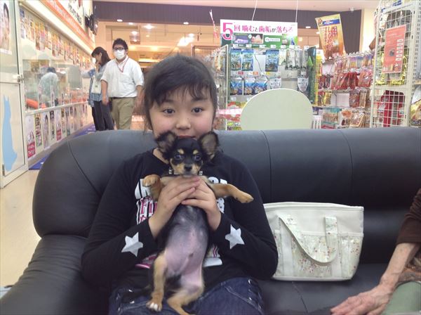 写真