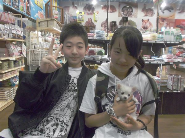 写真