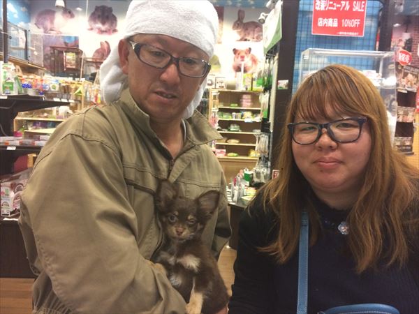 写真