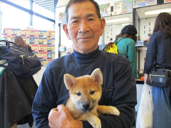 写真