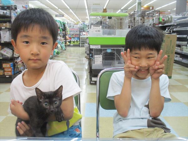 写真