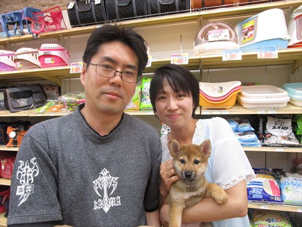 写真