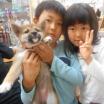 写真