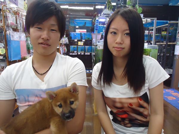 写真