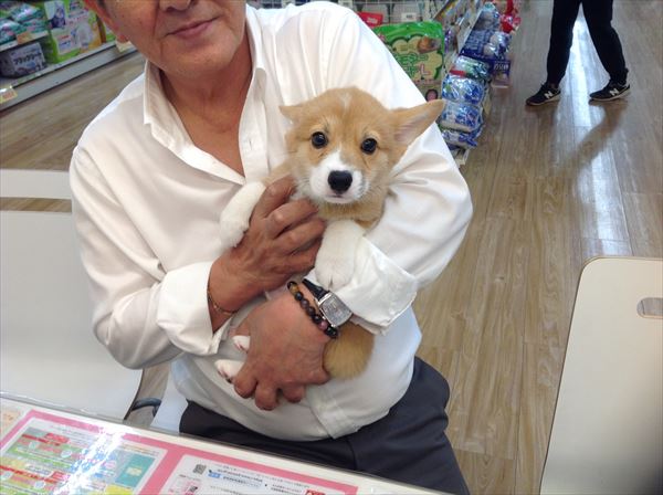 写真