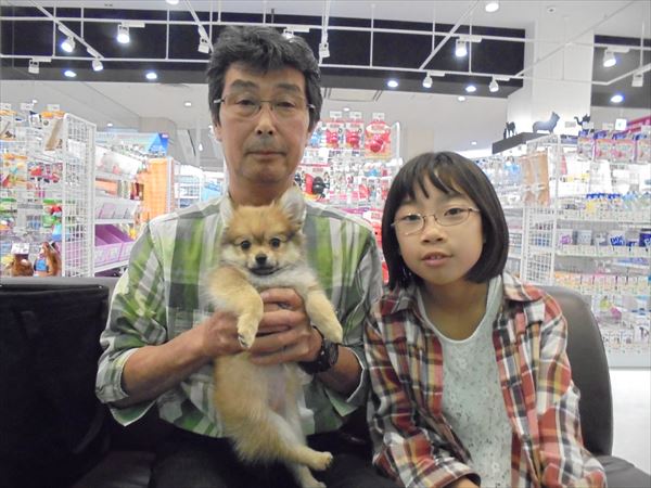 写真