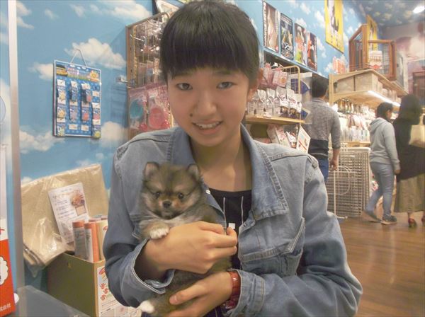写真