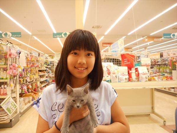 写真