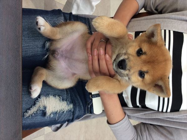 写真