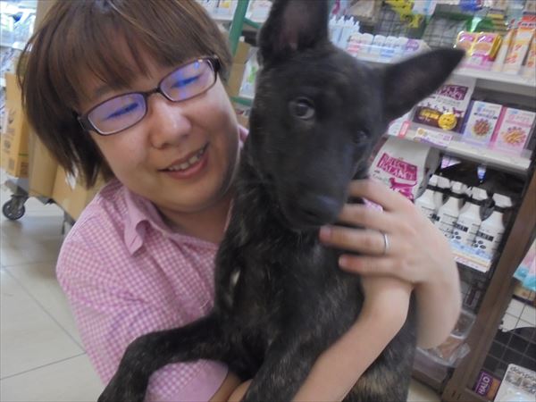 写真