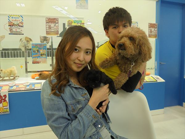 写真