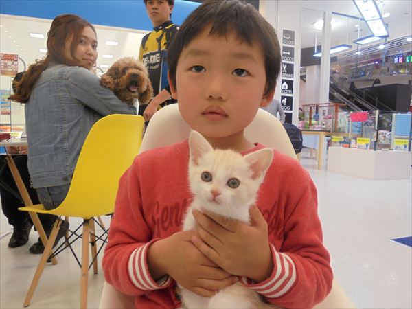 写真