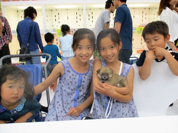 写真