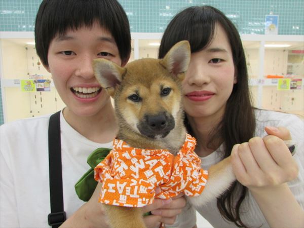 写真
