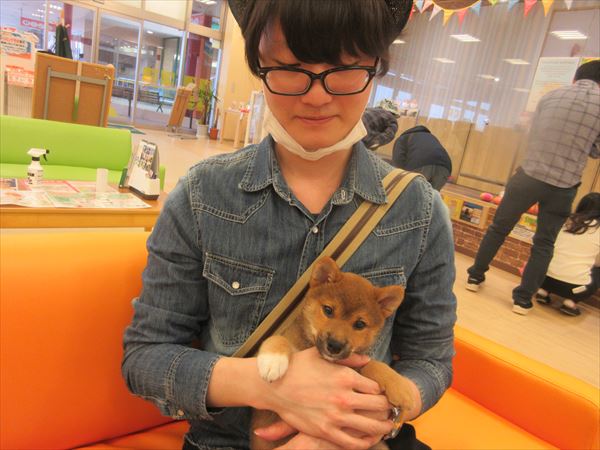 写真