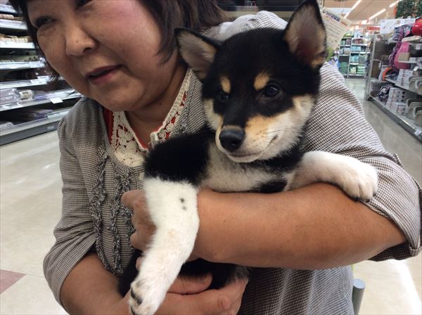 写真