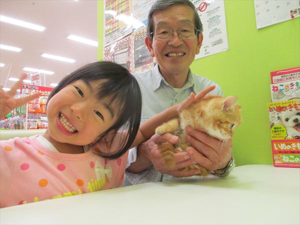写真
