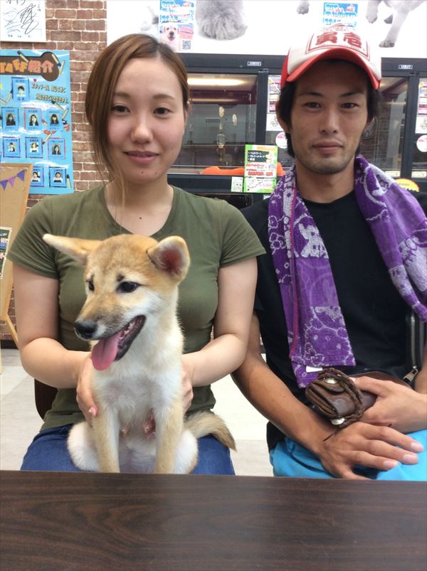 写真