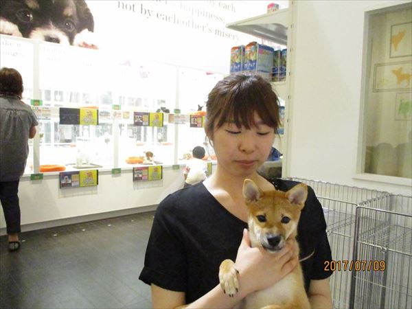 写真