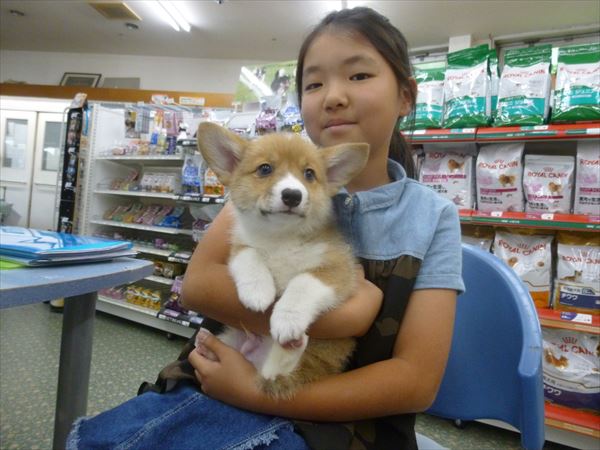 写真
