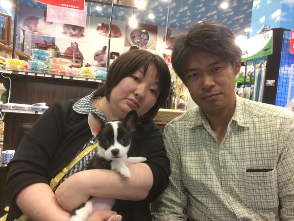 写真