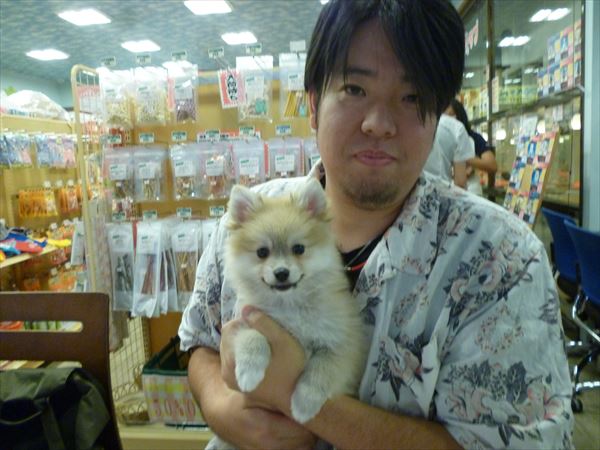 写真