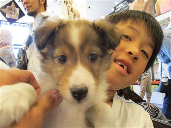 写真