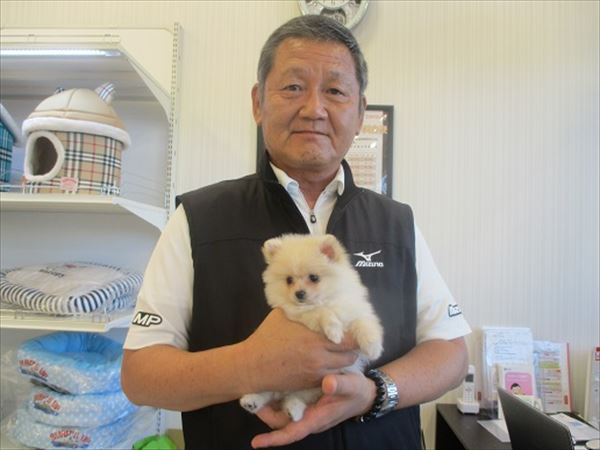 写真