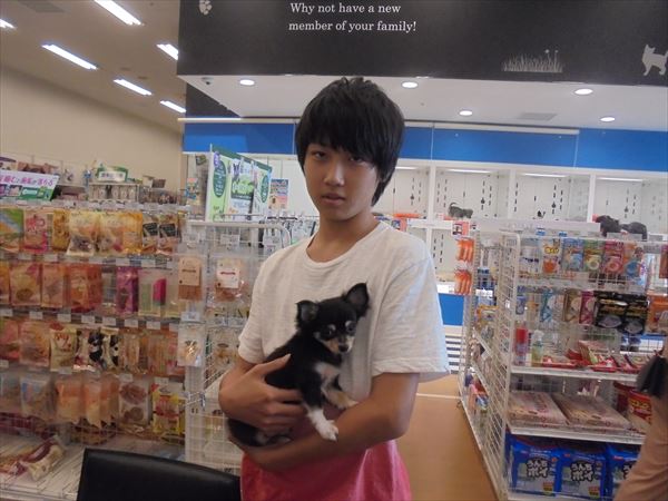 写真