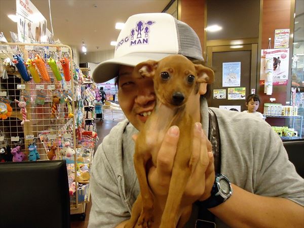 写真