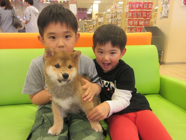 写真
