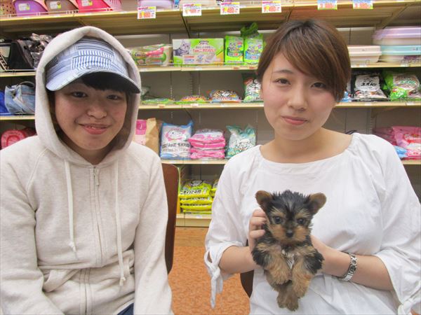 写真